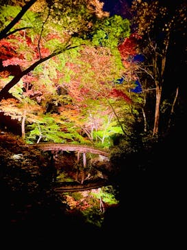 六義園に投稿された画像（2024/12/2）