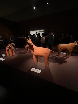 挂甲の武人 国宝指定50周年記念 特別展「はにわ」@東京国立博物館 平成館に投稿された画像（2024/12/2）