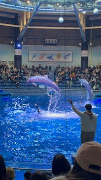 マクセル アクアパーク品川に投稿された画像（2024/12/2）