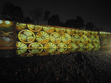 NAKED meets 二条城 2025 観月に投稿された画像（2024/12/2）