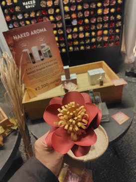 NAKED meets 二条城 2025 観月に投稿された画像（2024/12/2）