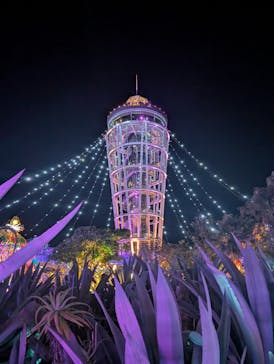 江の島シーキャンドルに投稿された画像（2024/12/2）