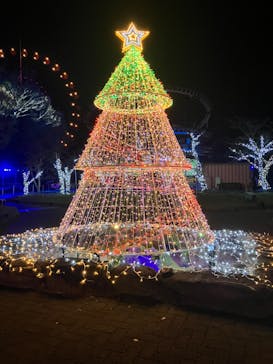 みろくの里に投稿された画像（2024/12/2）