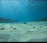 青の洞窟専門店　沖縄ダイビングショップ和に投稿された画像（2024/12/2）