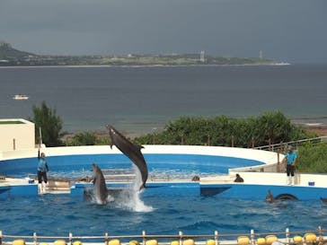沖縄美ら海水族館に投稿された画像（2024/12/2）