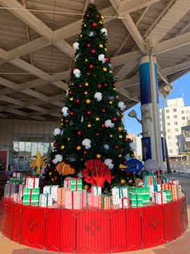 新江ノ島水族館に投稿された画像（2024/12/2）