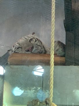 NIFREL（ニフレル）に投稿された画像（2024/12/2）