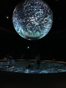 NIFREL（ニフレル）に投稿された画像（2024/12/2）