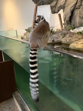 NIFREL（ニフレル）に投稿された画像（2024/12/2）