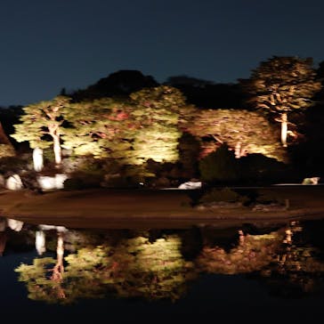 六義園に投稿された画像（2024/12/2）