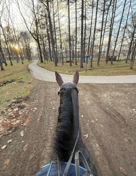 ノーザンホースパークに投稿された画像（2024/12/2）