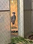 恩賜上野動物園に投稿された画像（2024/12/2）