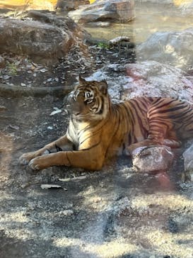 恩賜上野動物園に投稿された画像（2024/12/2）