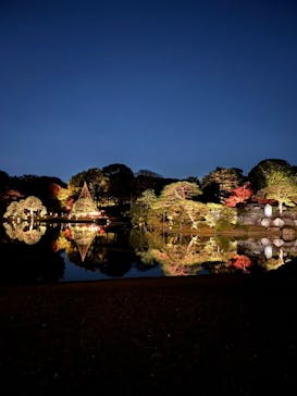 六義園に投稿された画像（2024/12/2）