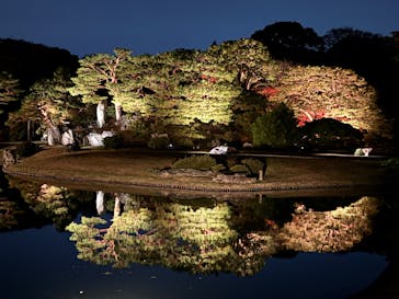 六義園に投稿された画像（2024/12/2）