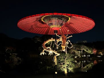 六義園に投稿された画像（2024/12/2）