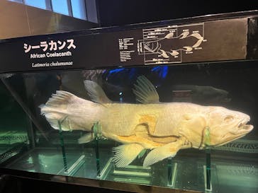 環境水族館アクアマリンふくしまに投稿された画像（2024/12/2）