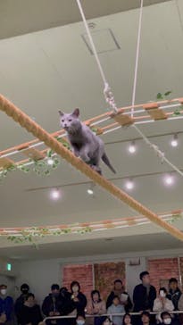 那須どうぶつ王国に投稿された画像（2024/12/2）