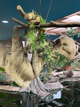 那須どうぶつ王国に投稿された画像（2024/12/2）