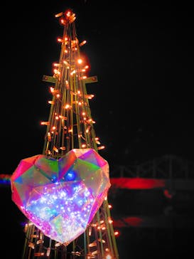 修善寺虹の郷に投稿された画像（2024/12/2）