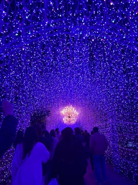 江の島シーキャンドルに投稿された画像（2024/12/2）