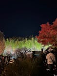 国営昭和記念公園 秋の夜散歩に投稿された画像（2024/12/3）