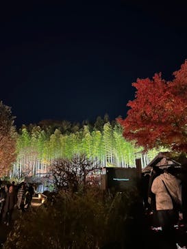 国営昭和記念公園 秋の夜散歩に投稿された画像（2024/12/2）