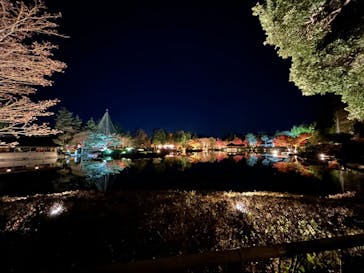 国営昭和記念公園 秋の夜散歩に投稿された画像（2024/12/2）