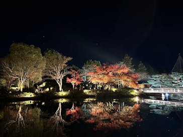 国営昭和記念公園 秋の夜散歩に投稿された画像（2024/12/2）