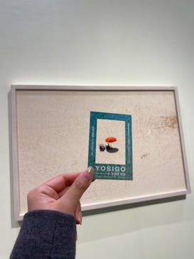 YOSIGO 写真展 Holiday Memories - 旅の瞬間 -に投稿された画像（2024/12/2）