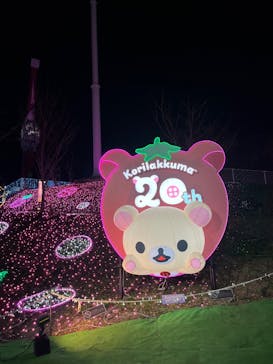 さがみ湖MORI MORIに投稿された画像（2024/12/2）