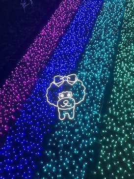 さがみ湖MORI MORIに投稿された画像（2024/12/2）