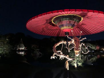 六義園に投稿された画像（2024/12/2）