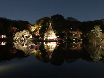 六義園に投稿された画像（2024/12/2）