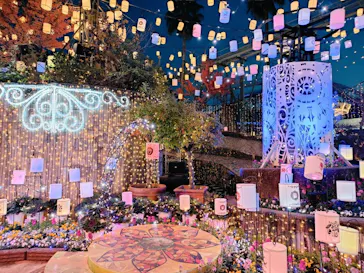 ひらかたパークに投稿された画像（2024/12/2）