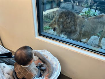 沖縄こどもの国に投稿された画像（2024/12/2）