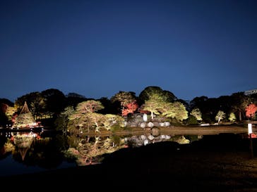 六義園に投稿された画像（2024/12/3）