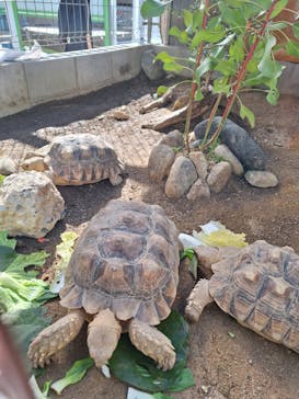 竹島水族館に投稿された画像（2024/12/3）