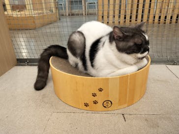 Moff アニマル カフェ イーアス 高尾店に投稿された画像（2024/12/3）