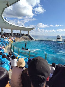 鴨川シーワールドに投稿された画像（2024/12/3）