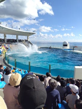 鴨川シーワールドに投稿された画像（2024/12/3）