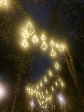 ムーミンバレーパークに投稿された画像（2024/12/3）