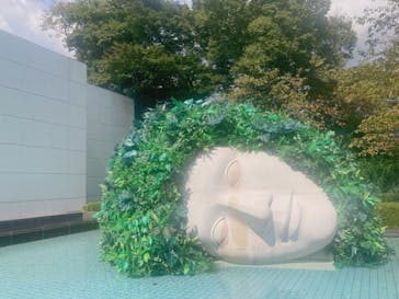 彫刻の森美術館に投稿された画像（2024/12/3）