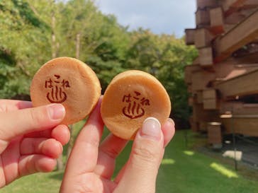 彫刻の森美術館に投稿された画像（2024/12/3）