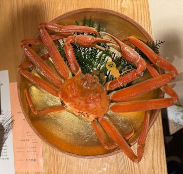 福井県立恐竜博物館に投稿された画像（2024/12/3）