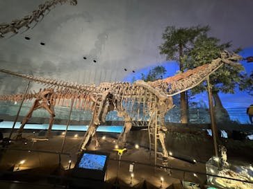 福井県立恐竜博物館に投稿された画像（2024/12/3）