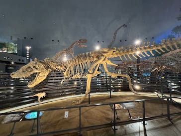 福井県立恐竜博物館に投稿された画像（2024/12/3）