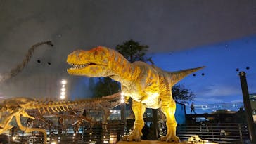福井県立恐竜博物館に投稿された画像（2024/12/3）