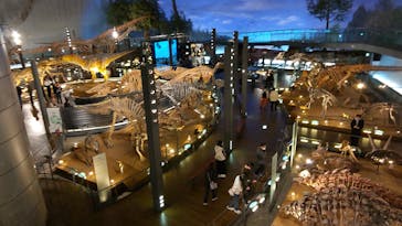 福井県立恐竜博物館に投稿された画像（2024/12/3）