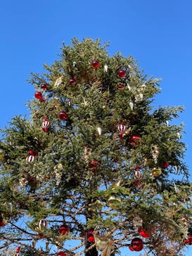 Christmas Market in 横浜赤レンガ倉庫 2025に投稿された画像（2024/12/3）
